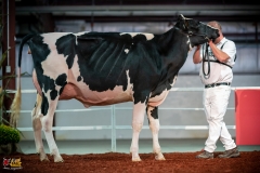 DSC00995-2 DSC00995-2