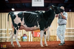 DSC00999-2 DSC00999-2