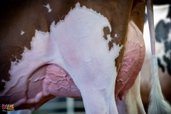 DSC01002-2 DSC01002-2