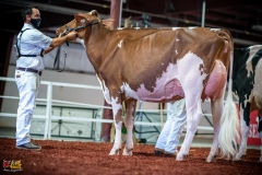 DSC01012-2 DSC01012-2