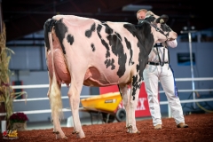 DSC01020-2 DSC01020-2