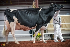 DSC01657-2 DSC01657-2