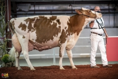 DSC01667-2 DSC01667-2