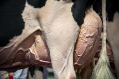 DSC01670-2 DSC01670-2