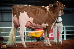 DSC01357-2 DSC01357-2