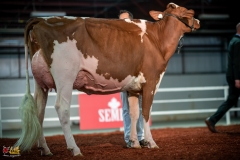 DSC01367-2 DSC01367-2