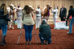 DSC01373-2 DSC01373-2