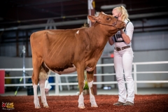 DSC00819-2 DSC00819-2