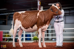 DSC00833-2 DSC00833-2