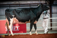 DSC01298-2 DSC01298-2