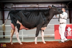 DSC01307-2 DSC01307-2