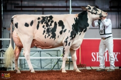 DSC01313-2 DSC01313-2