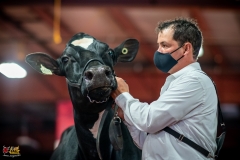 DSC01314-2 DSC01314-2