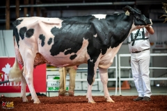 DSC01324-2 DSC01324-2