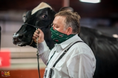 DSC01333-2 DSC01333-2