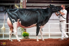 DSC01337-2 DSC01337-2