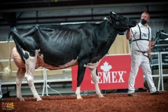 DSC01345-2 DSC01345-2