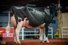 DSC01350-2 DSC01350-2