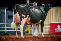 DSC01353-2 DSC01353-2