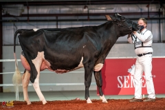 DSC01145-2 DSC01145-2