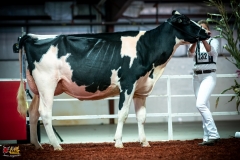 DSC01168-2 DSC01168-2