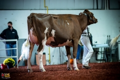 DSC01174-2 DSC01174-2