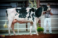 DSC01192-2 DSC01192-2