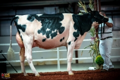 DSC01193-2 DSC01193-2