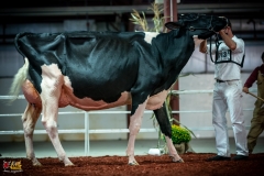 DSC01199-2 DSC01199-2