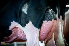 DSC01205-2 DSC01205-2