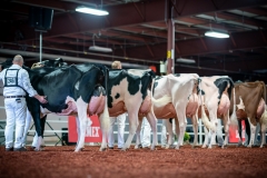 DSC01206-2 DSC01206-2