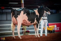 DSC01215-2 DSC01215-2