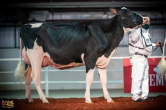 DSC01096-2 DSC01096-2