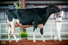 DSC01118-2 DSC01118-2