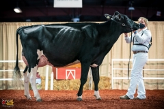 DSC01124-2 DSC01124-2