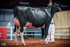 DSC01135-2 DSC01135-2