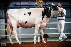 DSC01026-2 DSC01026-2