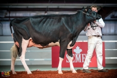 DSC01046-2 DSC01046-2