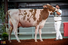 DSC01068-2 DSC01068-2