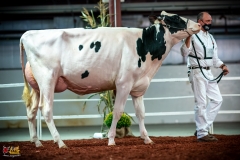 DSC01070-2 DSC01070-2