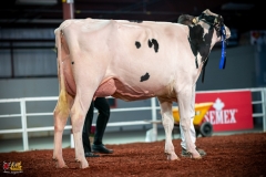 DSC01092-2 DSC01092-2