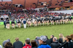 DSC08919-2 DSC08919-2