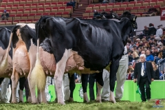 DSC09684-2 DSC09684-2