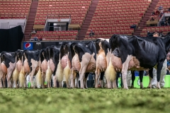 DSC09686-2 DSC09686-2