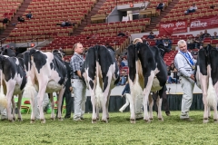 DSC06838-2 DSC06838-2