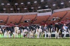 DSC06840-2 DSC06840-2