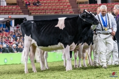 DSC06843-2 DSC06843-2