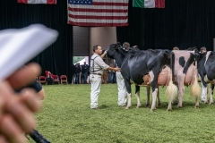 DSC08798-2 DSC08798-2