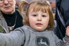 DSC08800-2 DSC08800-2