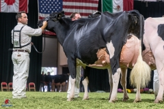 DSC08806-2 DSC08806-2